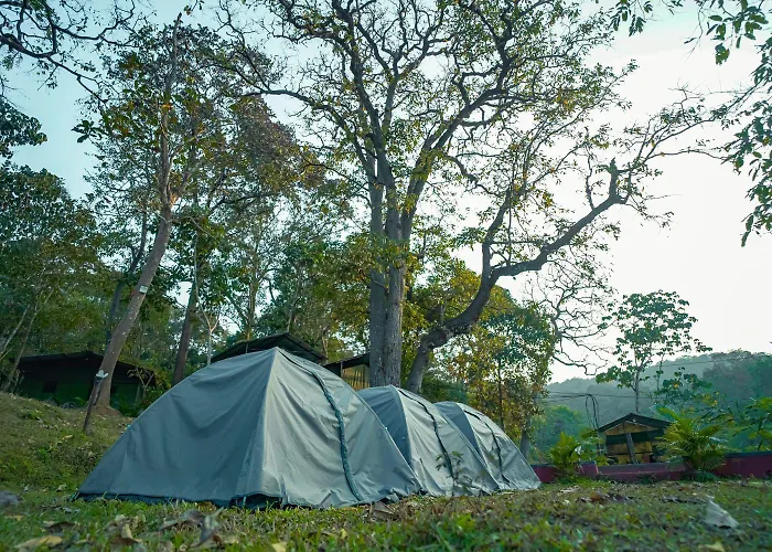 Dandeli Green Adventure Resort
