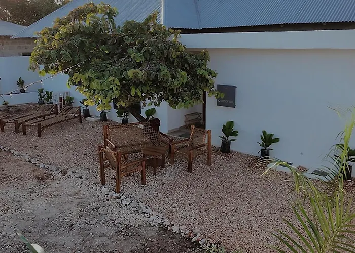 Cocohut Zanzibar - Kendwa & Nungwi