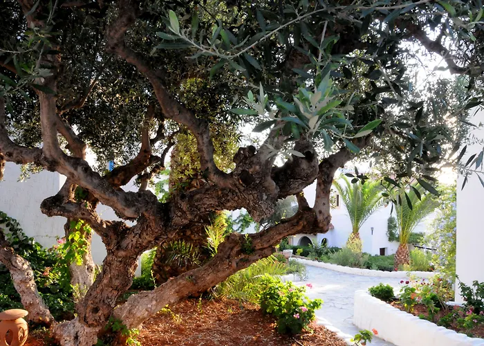 Hersonissos Village Hotel&Bungalows