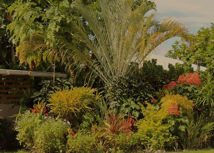 Savaii Lagoon Resort