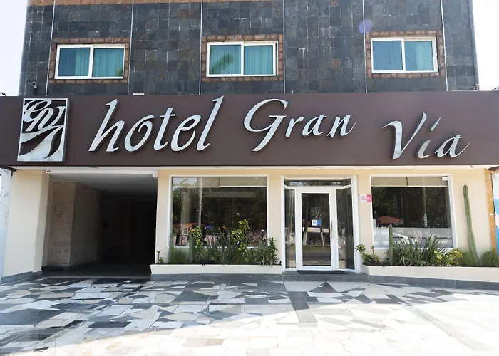 Hotel Gran Via - Centro
