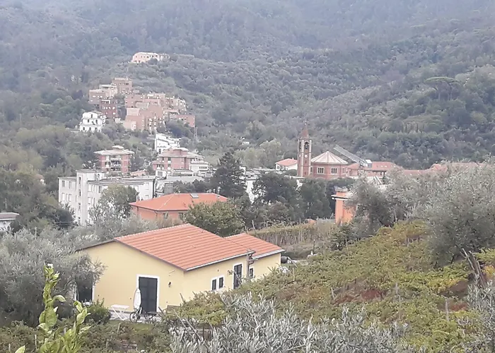 Agriturismo La Collina Verde