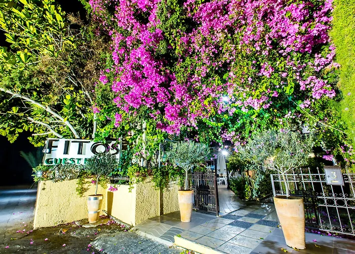 Fitosinn Hotel