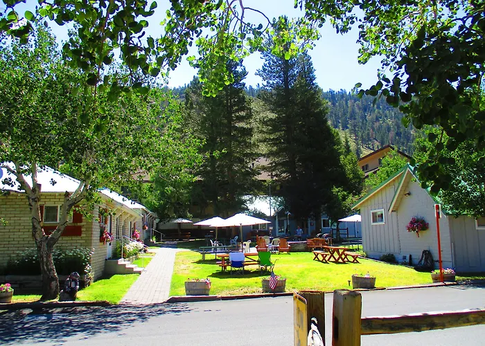 Lake Front Cabins