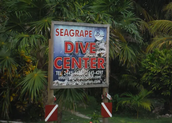 Seagrape Plantation Resort & Dive Center