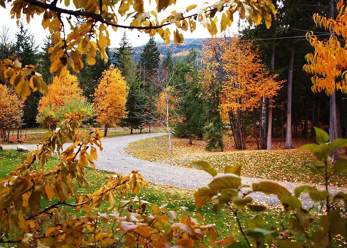 Wing Creek Resort