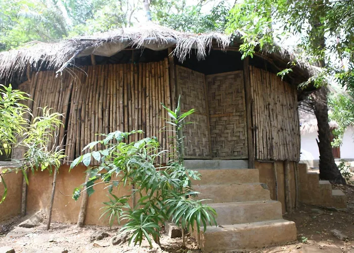 Daltons Banana Guesthouse