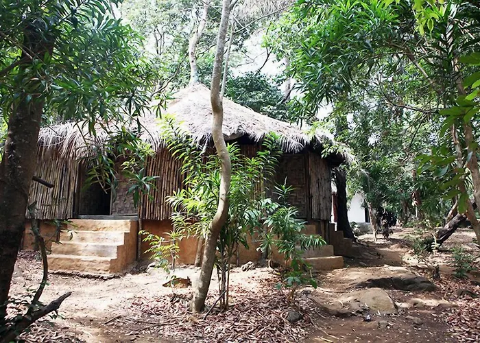 Daltons Banana Guesthouse