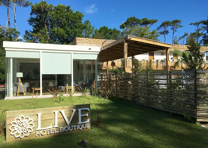 Live Hotel Boutique (Adults Only)