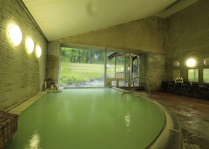 Nikko Astraea Hotel