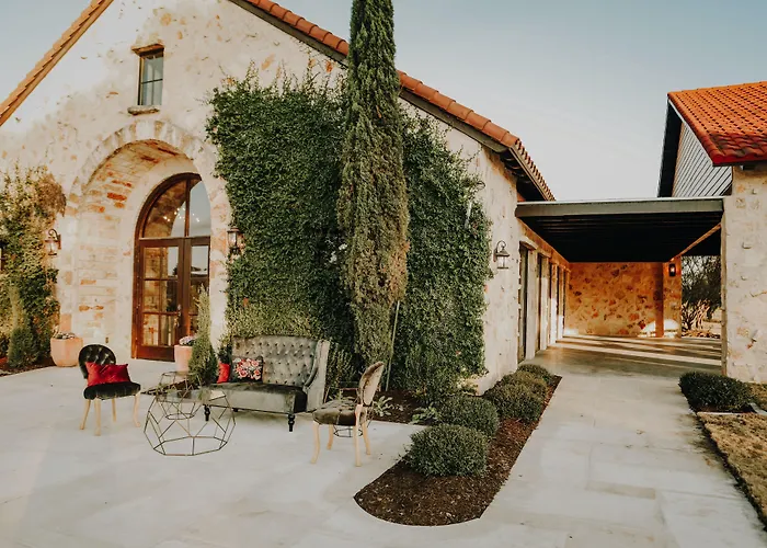 The Vineyard At Florence