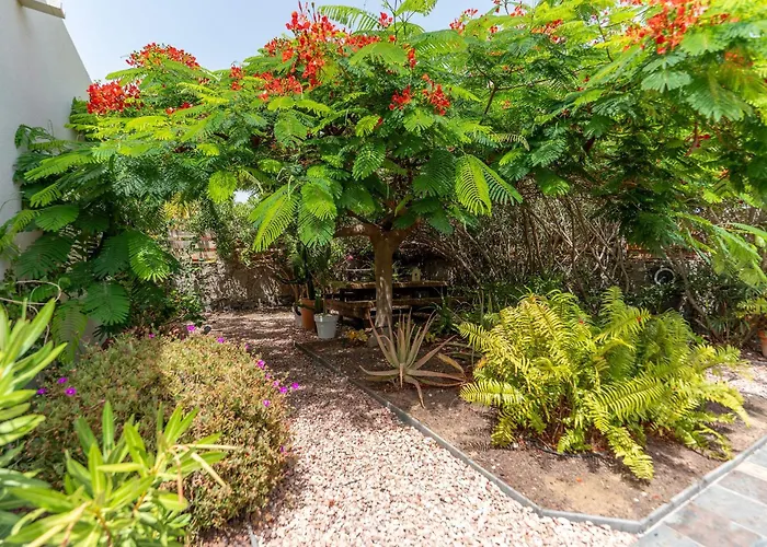 Elle Ocean Villa Gran Canaria Heated Pool Wifi By Kalmacanaria