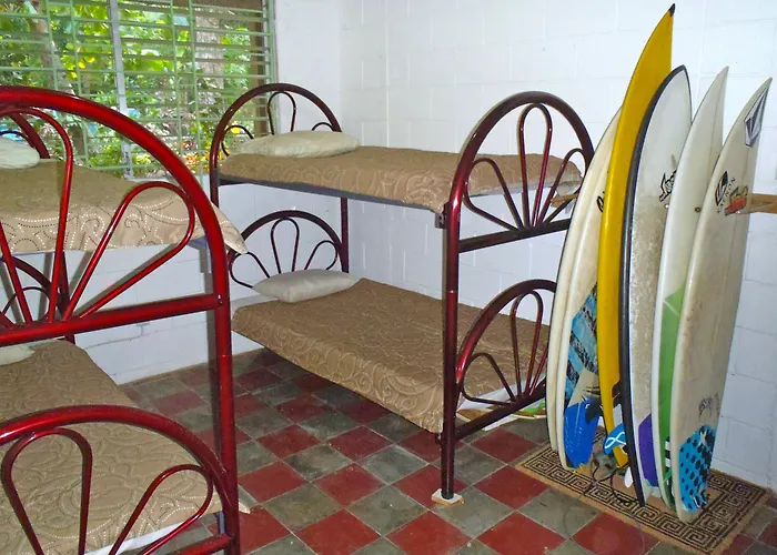 Hammock Plantation