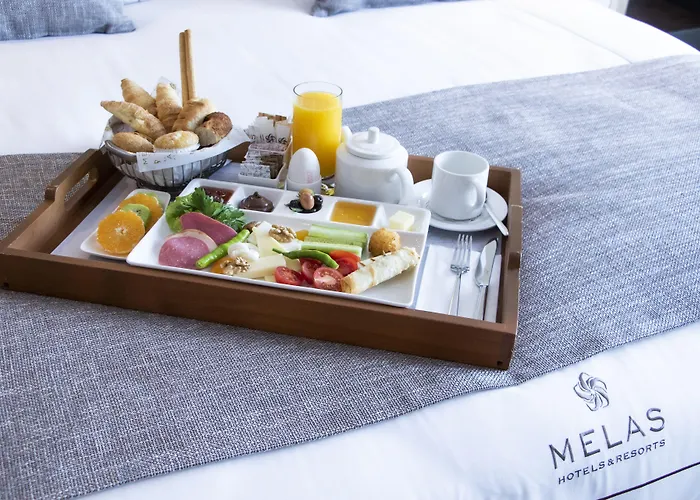 Melas Hotel Istanbul