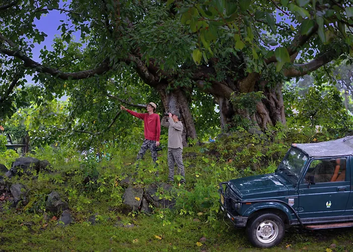Aranyak Resort Kanha
