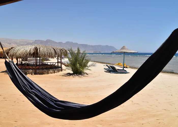 Shanty Beach Camp Suer