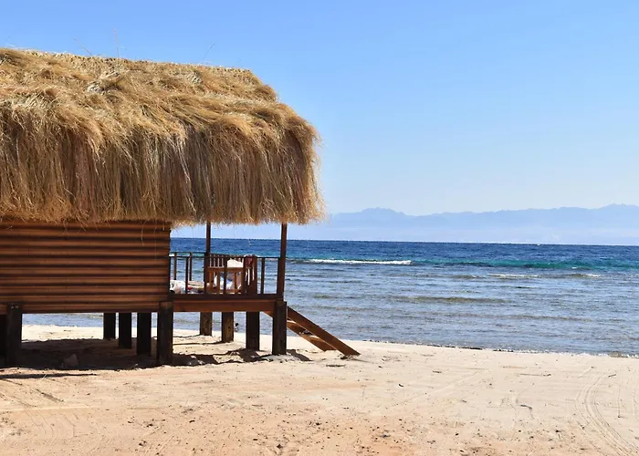 Shanty Beach Camp Suer