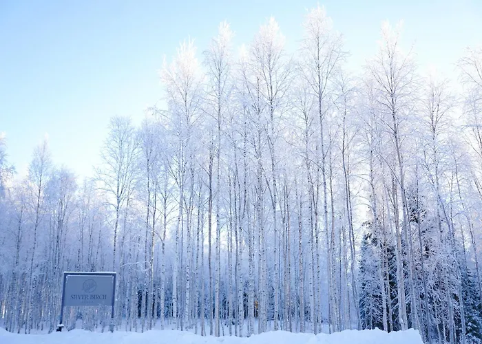 Silver Birch Resort Lapland