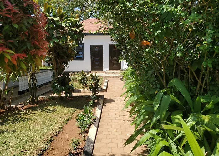 Gorilla African Guest House