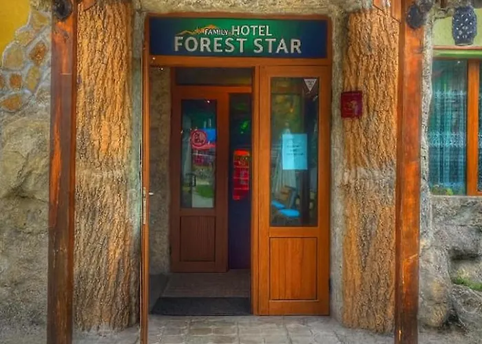 Hotel Forest Star On The Ski Slope