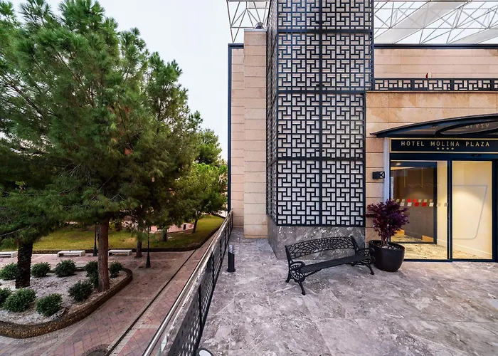ASA Molina Plaza