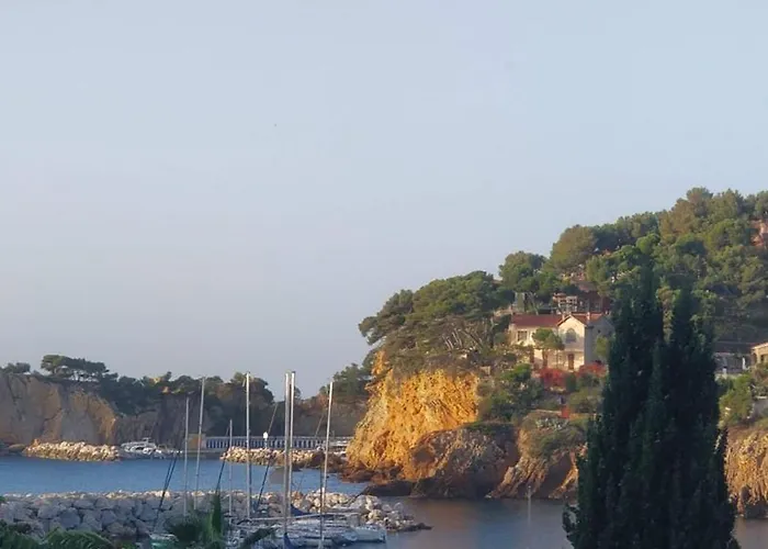 Votre terrasse vue mer sous la vigne, un havre de paix