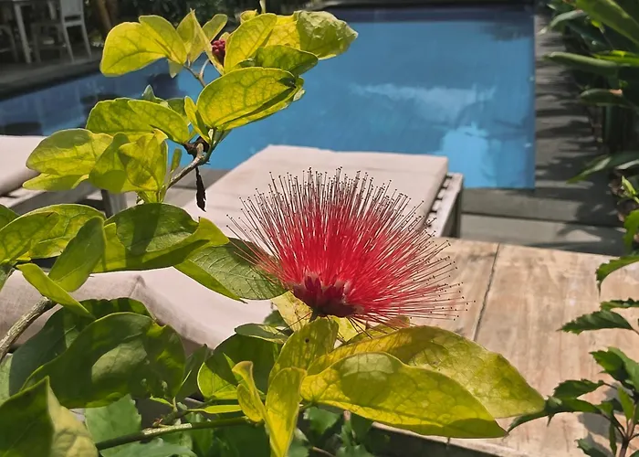 Gili Matiki, Resort & Private Villa