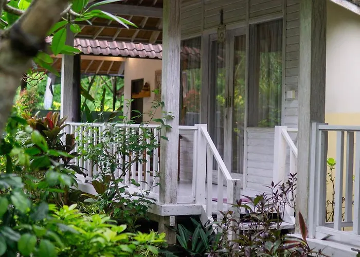 The Lucky Cottage
