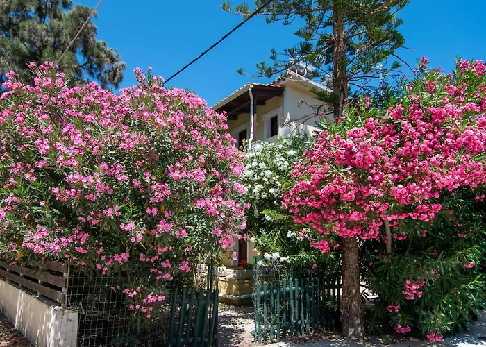 Hara Studios