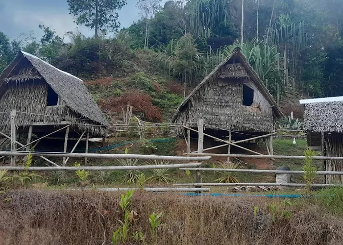 Khao Sok Moon Light Hill Camp