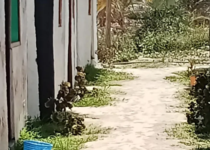 Babalao Beach Resort, Backpackers & Tent