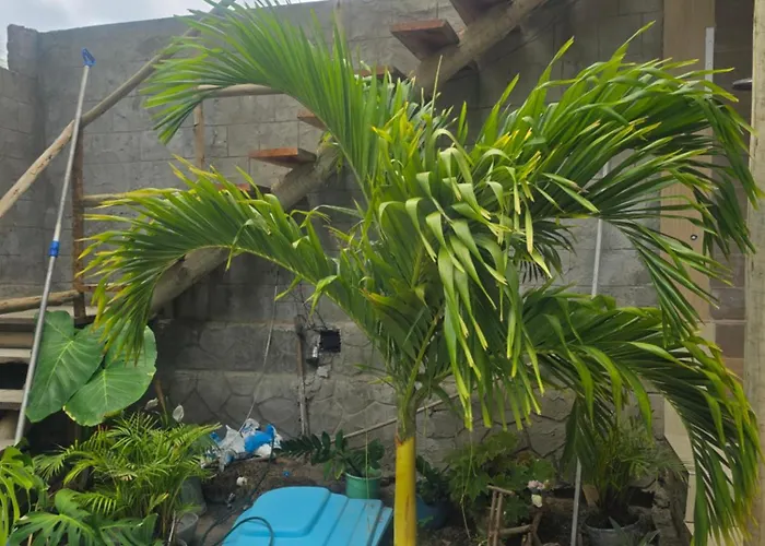 Casa de Praia com Piscina