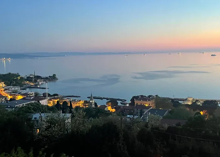 Trieste Sea Life