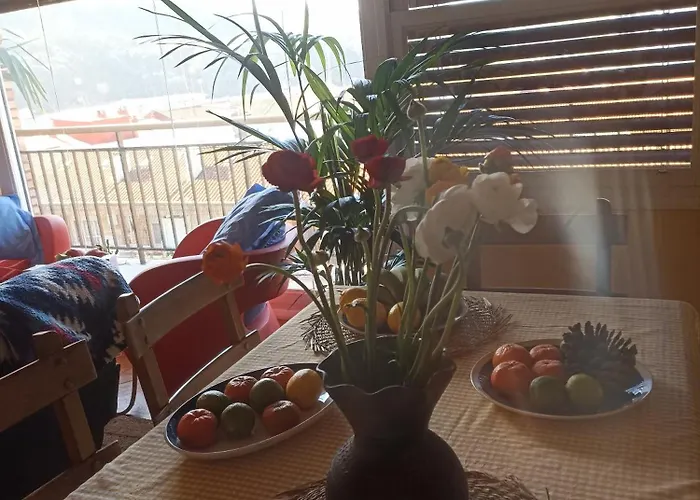 apartamento céntrico zona Marques de comillas 8
