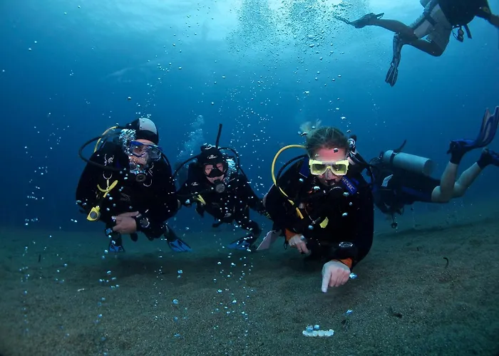 Liquid Dive Resort