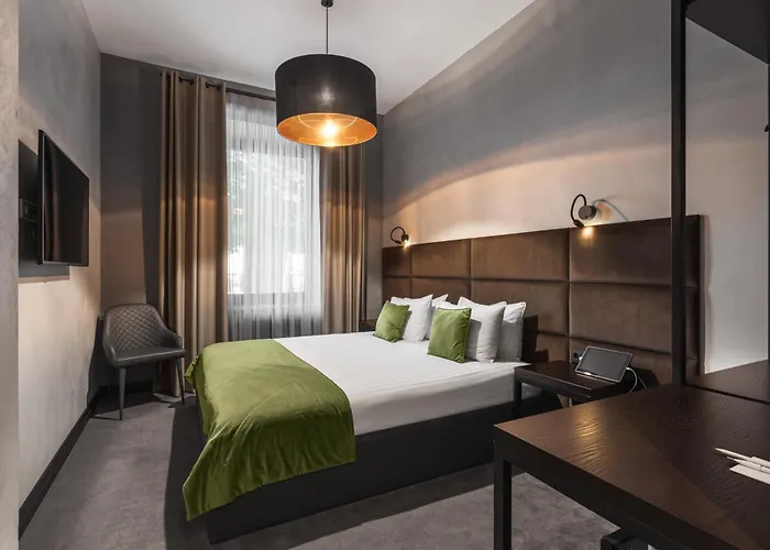 Bryk Hotel - Maestro