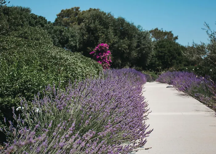 Agroturismo Malbuger Nou Menorca -Adults Only-
