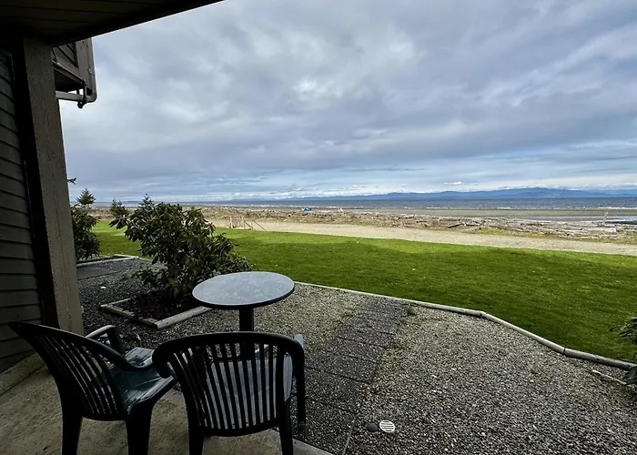 Beachfront King Bed Studio Suite