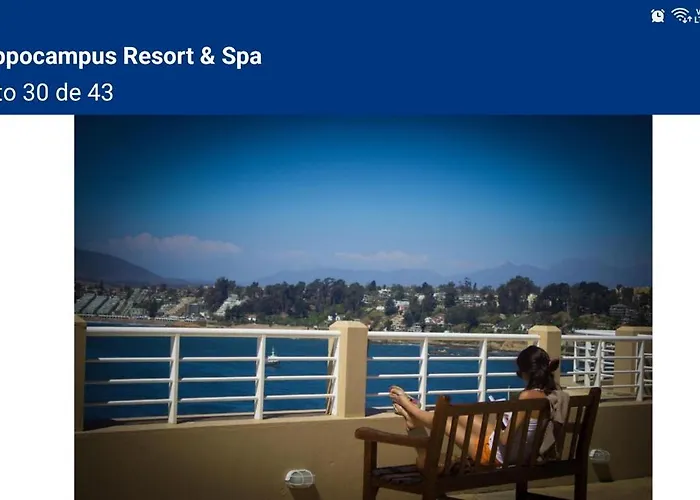 Hippocampus Vina Del Mar Resort
