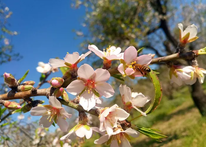 Agriturismo PALMERI