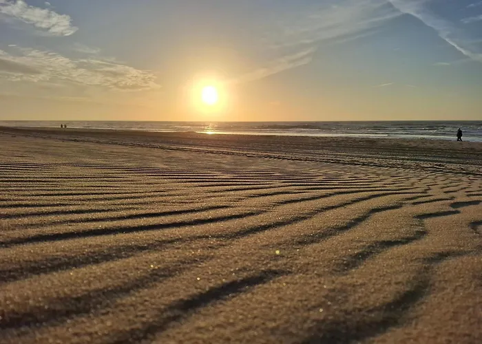 SoulSafari aan Zee