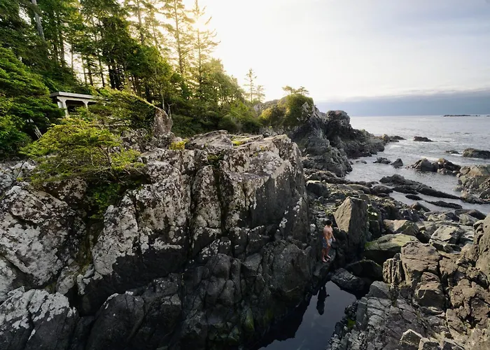 Tofino Resort + Marina