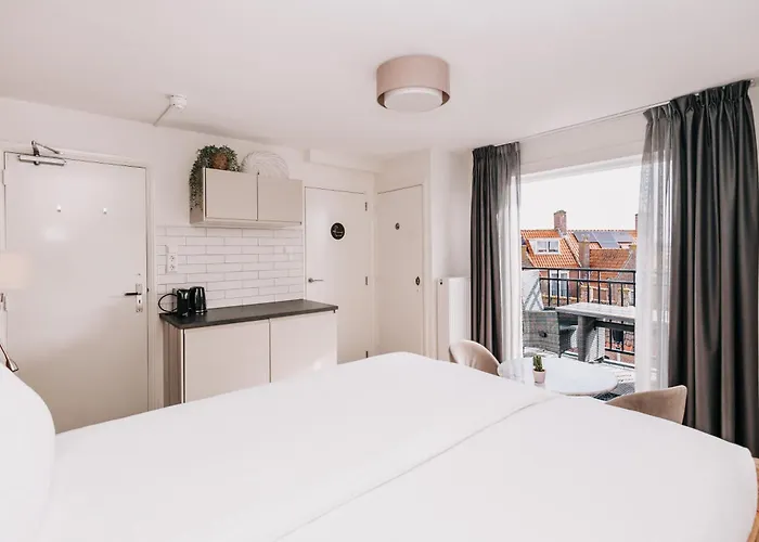 Divi Divi Zandvoort