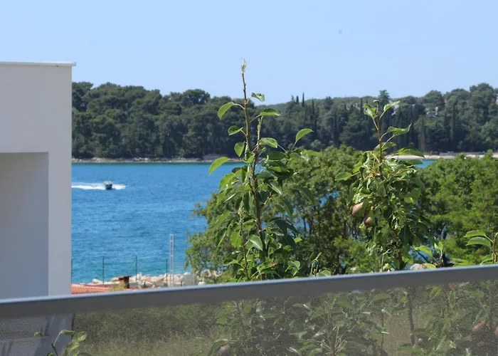 Villa Cok