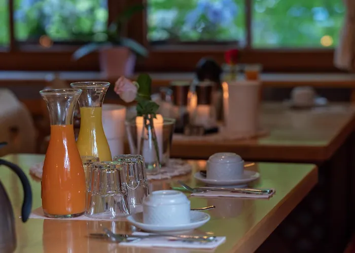 Hotel&Restaurant Grüner Baum - Die Grüne Oase Am Feldberg