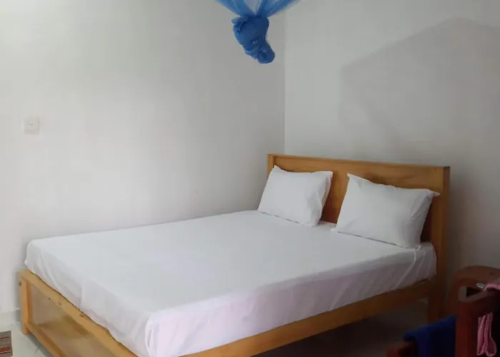 U New Guest House