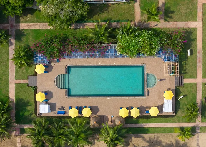 The C Resort & Residences