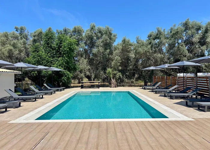 Olive Tree Apartments