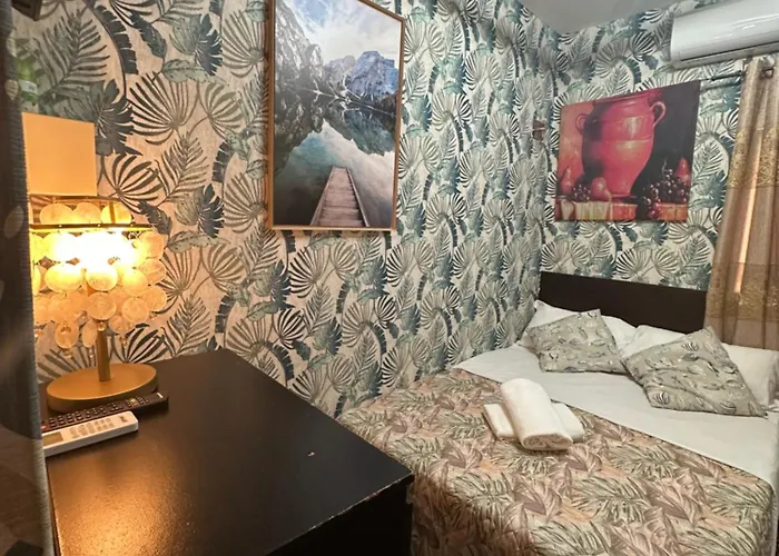 Magenta Roma House