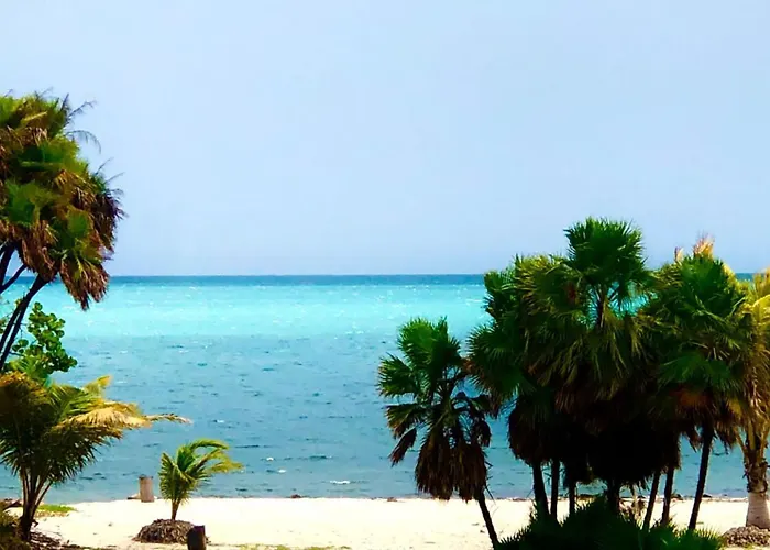 Tropical 1Br Suite With Pool Access - Flying Pig